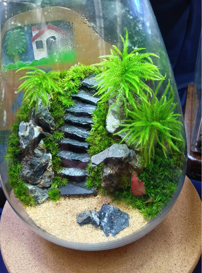 苔テラリウムの作品2